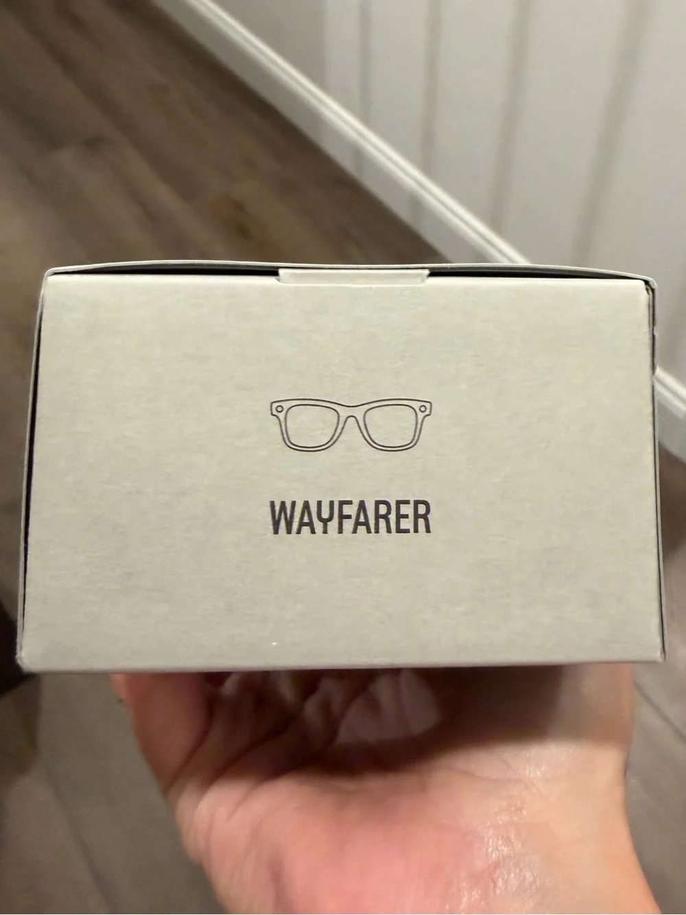 Ray-Ban Meta sunglasses 🕶️
